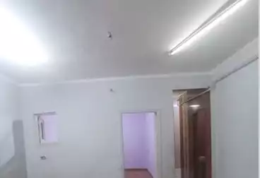 Properties For rent - 3 rooms - floor 6