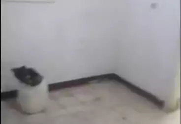 شقق للبيع - 3 غرف - بالدور 2