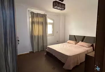 شقق مفروشة للإيجار - 3 غرف - بالدور 2