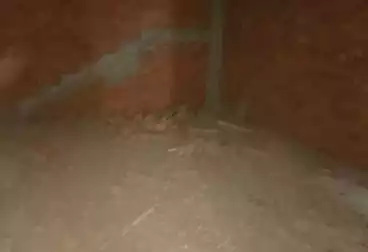 undefined undefined - 2 rooms - floor 11