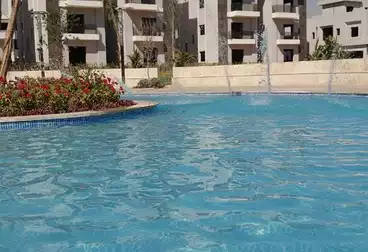 شقق للبيع - 3 غرف - بالدور 1