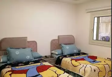 شقق مفروشة للإيجار - 2 غرف - بالدور 3