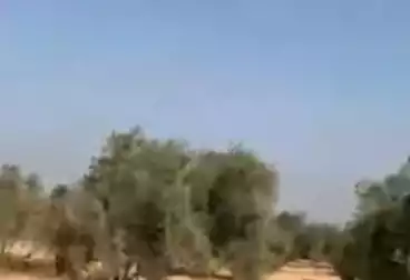 أرض زراعية للبيع