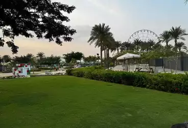 شقق للبيع - 1 غرف - بالدور 5