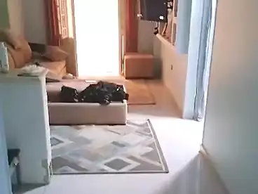 Properties For sale - 2 rooms - floor 6