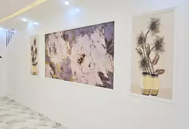 شقق للبيع - 2 غرف - بالدور 1