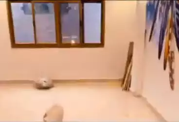 Apartments For sale - 2 rooms - floor 5