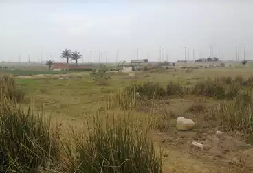 عقارات للبيع