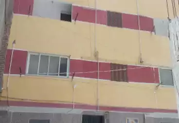 منزل / بيت للبيع - 12 غرف
