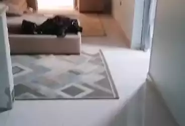 undefined undefined - 2 rooms - floor 6