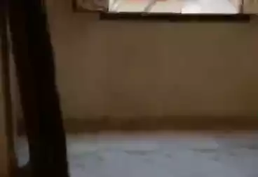 Apartments For rent - 3 rooms - floor 5