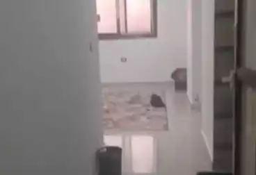 undefined undefined - 2 rooms - floor 1