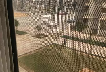 Properties For sale - 3 rooms - floor 1