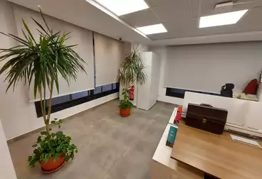 Offices For rent - 10 rooms - floor 4