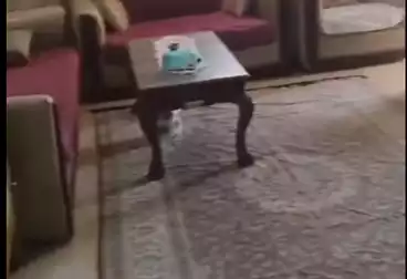 undefined undefined - 2 rooms - floor 11