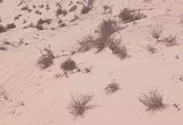 Apartments For sale - 2 rooms - floor 3