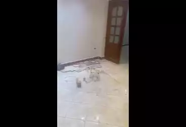 Apartments For sale - 3 rooms - floor 4