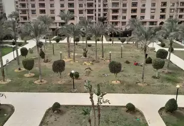 شقق للبيع - 2 غرف - بالدور 1