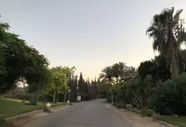 أراضي للبيع