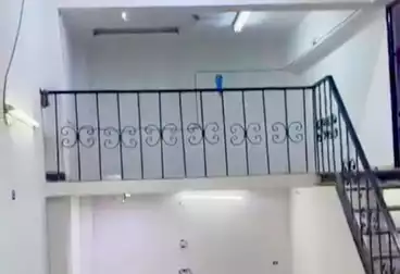 Properties For rent - floor 5
