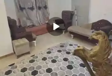Furnished Apartment For rent - 2 rooms - floor 1