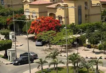 شقق للبيع - 3 غرف - بالدور 5