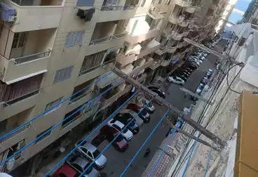 شقق للإيجار - 2 غرف - بالدور 6