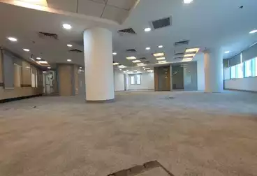Properties For rent - 5 rooms - floor 1