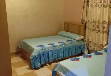 Furnished Apartment For rent - 2 rooms - floor 2