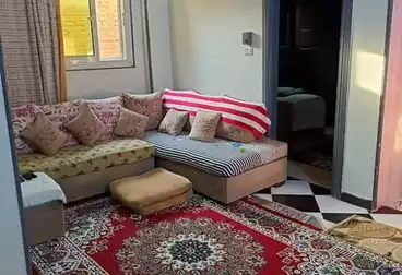 شقق للبيع - 2 غرف - بالدور 2