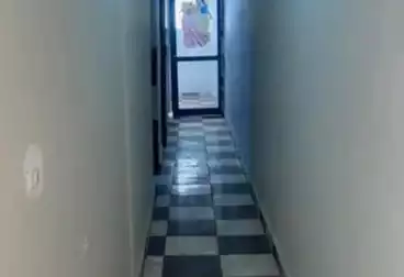 شقق للبيع - 3 غرف - بالدور 11