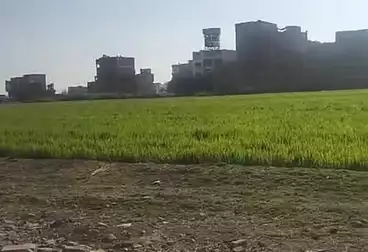 Residential Land For sale