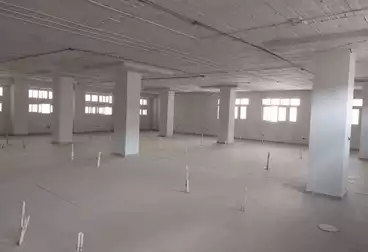 عقارات للإيجار
