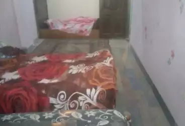 شقق للبيع - 2 غرف - بالدور 6