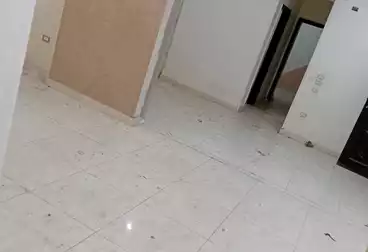 شقق للبيع - 5 غرف - بالدور 1