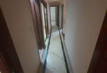 Apartments For rent - 3 rooms - floor 3