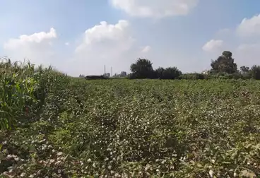 Farm For sale