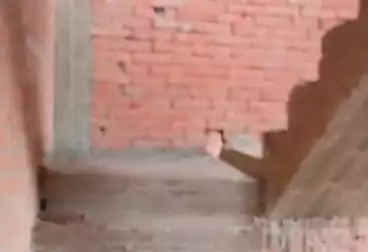 undefined undefined - 3 rooms - floor 5