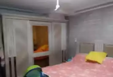 undefined undefined - 3 rooms - floor 7