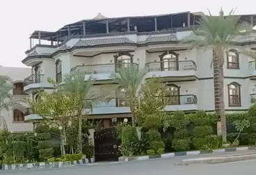 عقارات للبيع - 12 غرف