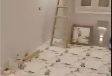 Apartments For sale - 3 rooms - floor 2