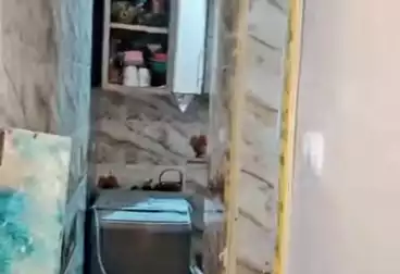 عقارات للبيع - 2 غرف - بالدور 1