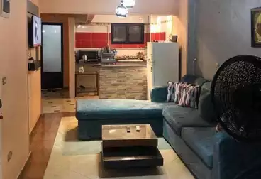 شقق مفروشة للإيجار - 2 غرف - بالدور 4