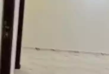 إداري للإيجار - 2 غرف - بالدور 8