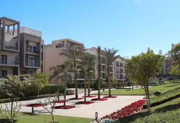 Apartments For sale - 1 rooms - floor 1