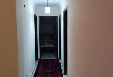 Properties For rent - 3 rooms - floor 5