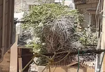 شقق مفروشة للبيع - 3 غرف - بالدور 2