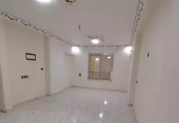 Apartments For rent - 3 rooms - floor 2