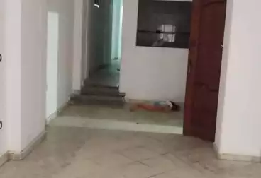 Apartments For rent - 3 rooms - floor 1