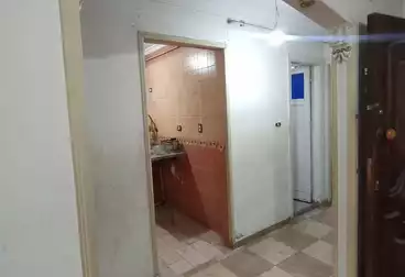 شقق للبيع - 3 غرف - بالدور 1